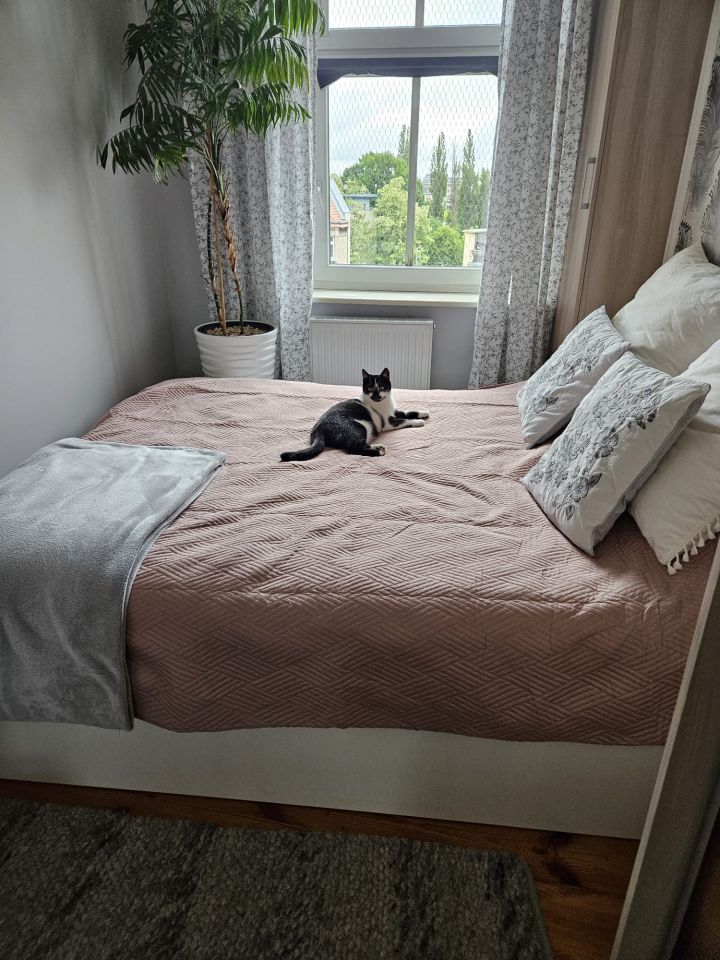 Mieszkanie 3-pokojowe Wrocław Śródmieście, ul. Bolesława Prusa. Zdjęcie 20