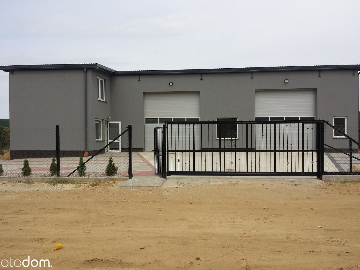 Hala/magazyn Reda Pieleszewo, ul. Zielarzy. Zdjęcie 11