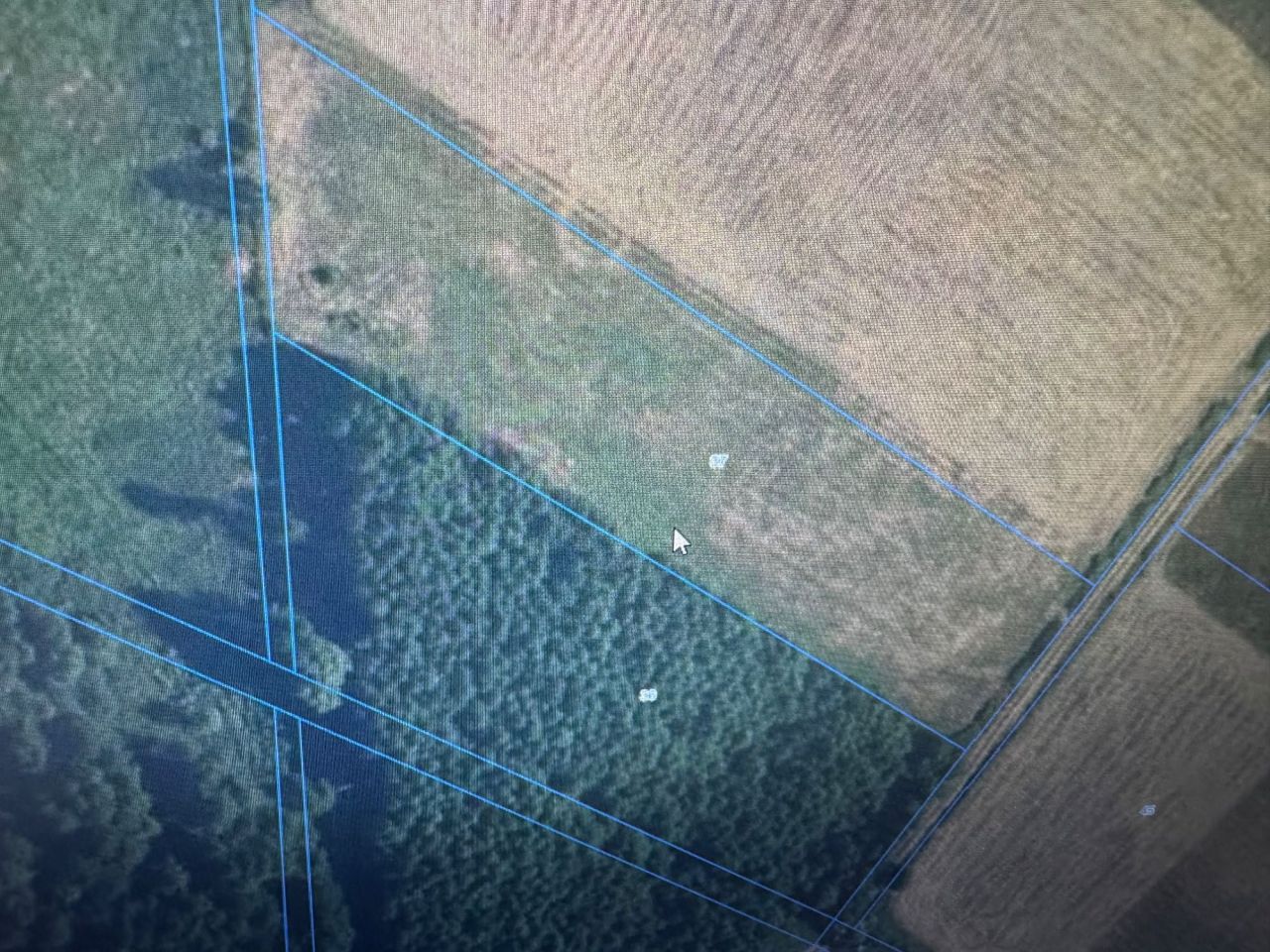 Działka rolna Konradów. Zdjęcie 6