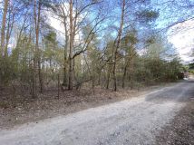 Działka budowlana Chotomów, ul. Kasztanowa. Zdjęcie 2