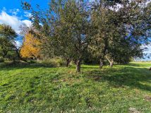 dom wolnostojący Dobieszów. Zdjęcie 3