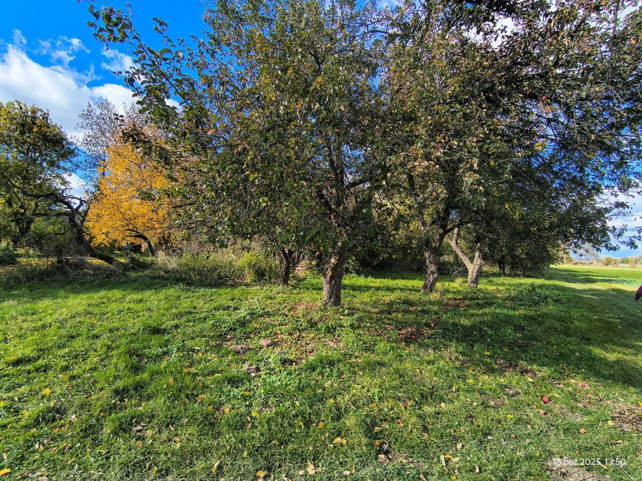 dom wolnostojący Dobieszów. Zdjęcie 4