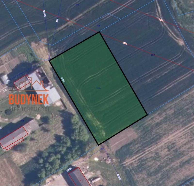 Działka budowlana Sińczyca. Zdjęcie 12