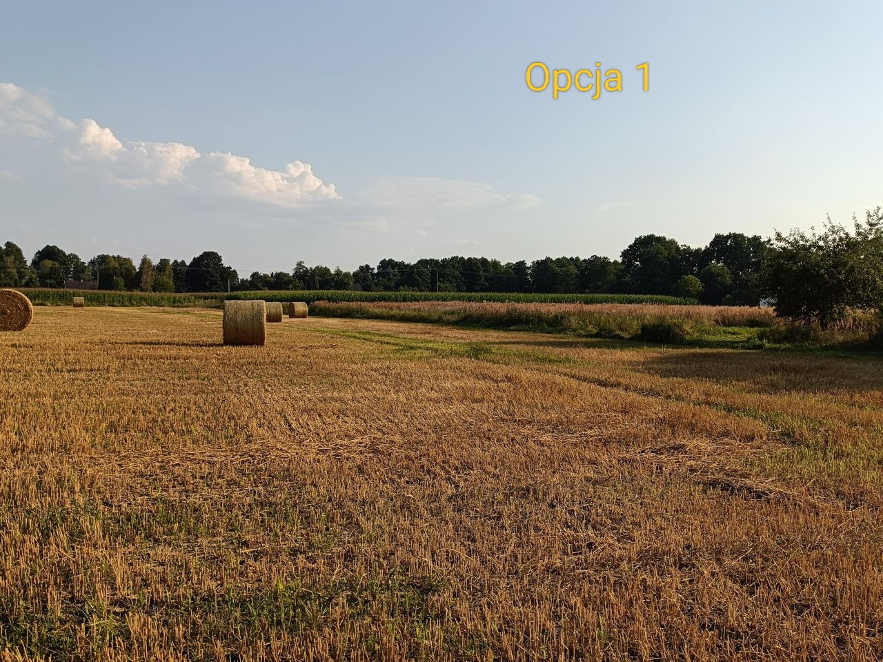 Działka rolna Drogomyśl Dębina, Dębina, Słoneczna. Zdjęcie 11