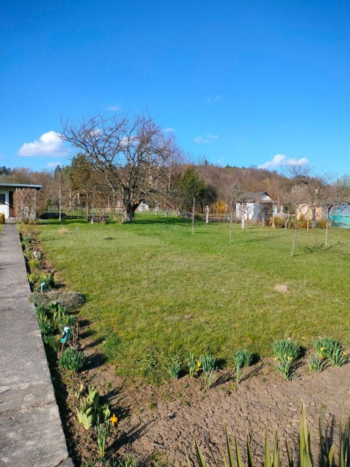 Działka rod Ziębice. Zdjęcie 4