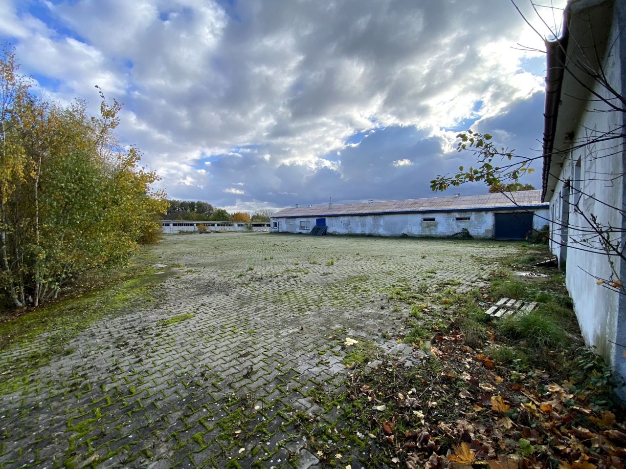 Hala/magazyn Stare Czarnowo. Zdjęcie 9