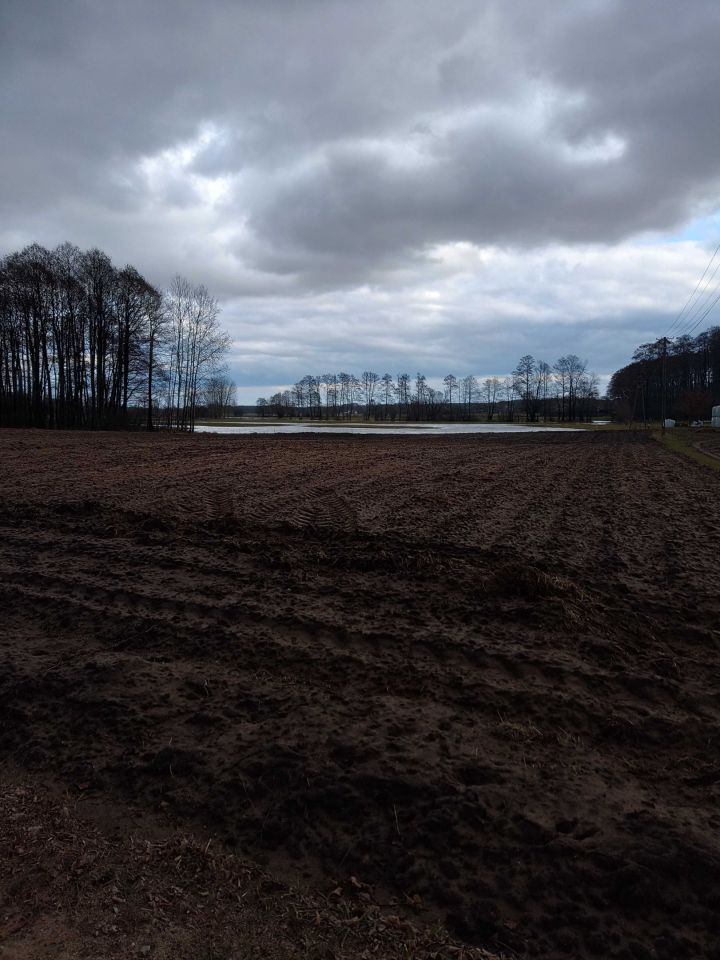 Działka budowlana Nury. Zdjęcie 5