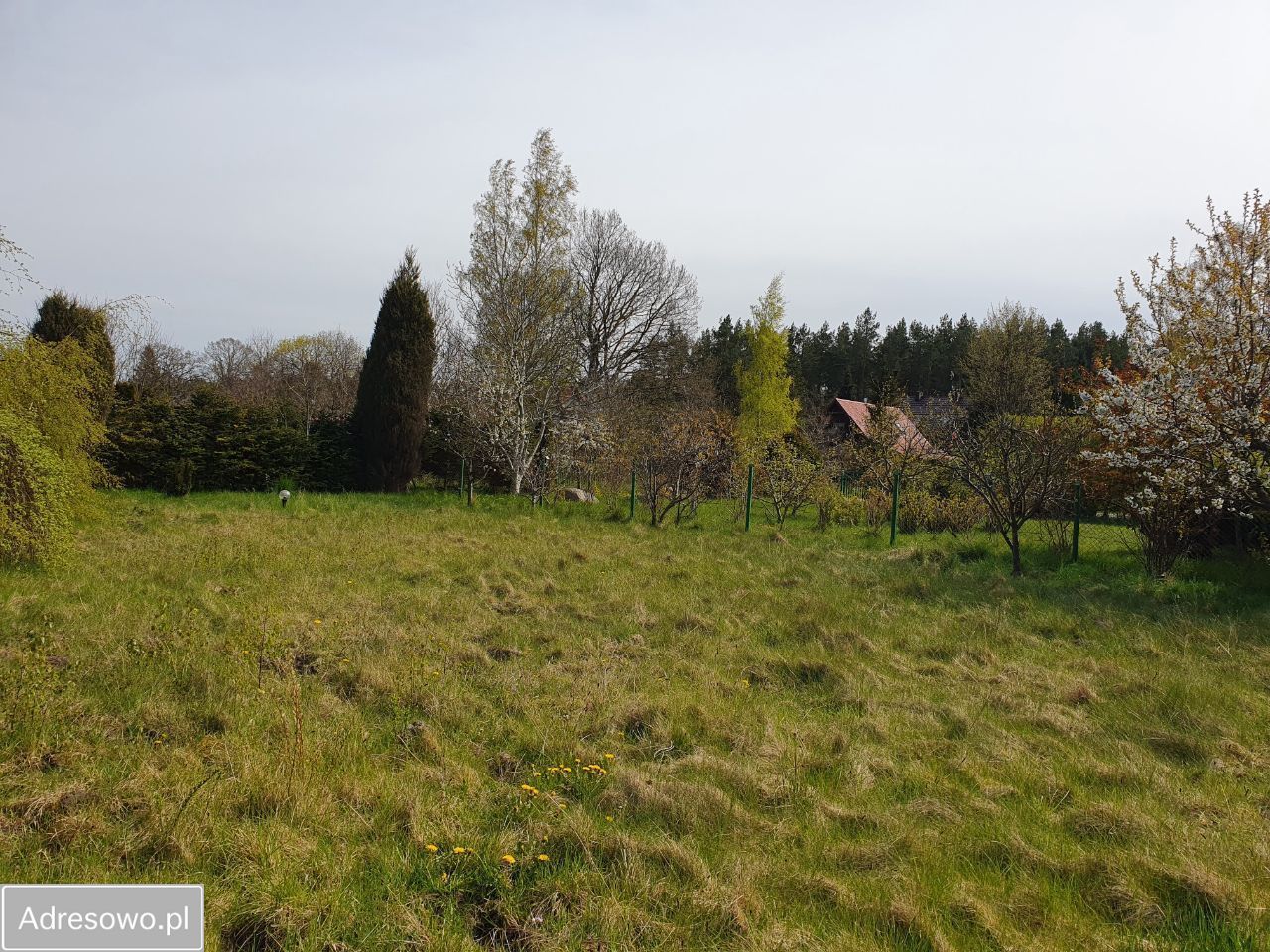 Działka budowlana Kopalino, ul. Sucha. Zdjęcie 7