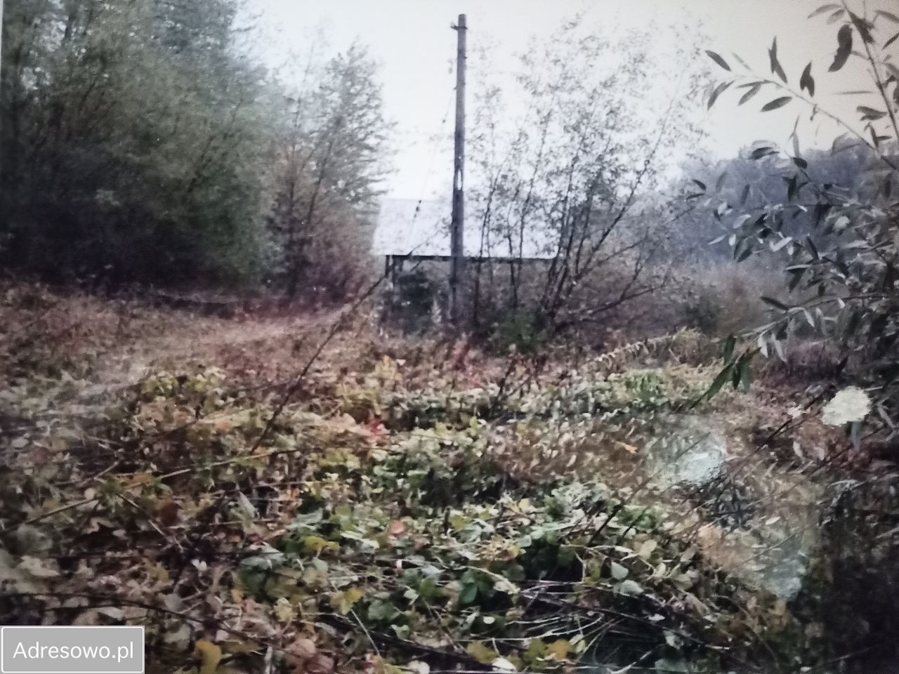 Działka inwestycyjna Korzenna. Zdjęcie 6