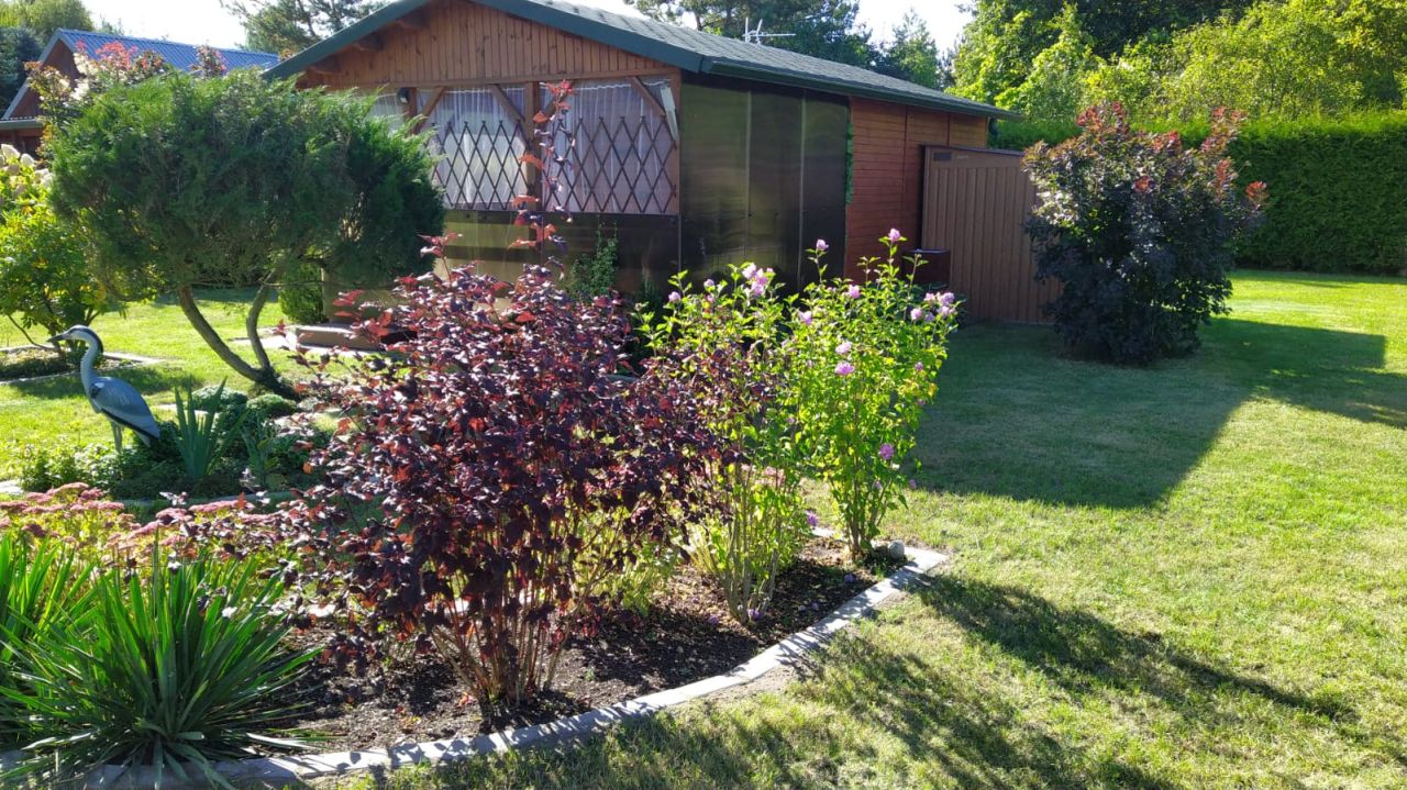 Działka rod Styrzyniec, Al. Krokusów. Zdjęcie 2