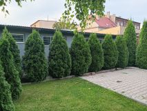 Działka rod Kalisz, ul. Polna. Zdjęcie 1