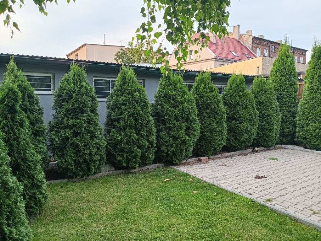 Działka rod Kalisz, ul. Polna. Zdjęcie 2