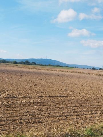 Działka rolna Grzegorzowice. Zdjęcie 1