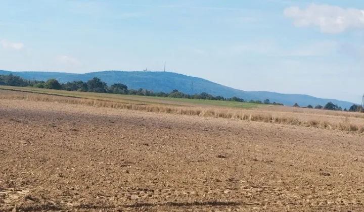Działka rolna Grzegorzowice
