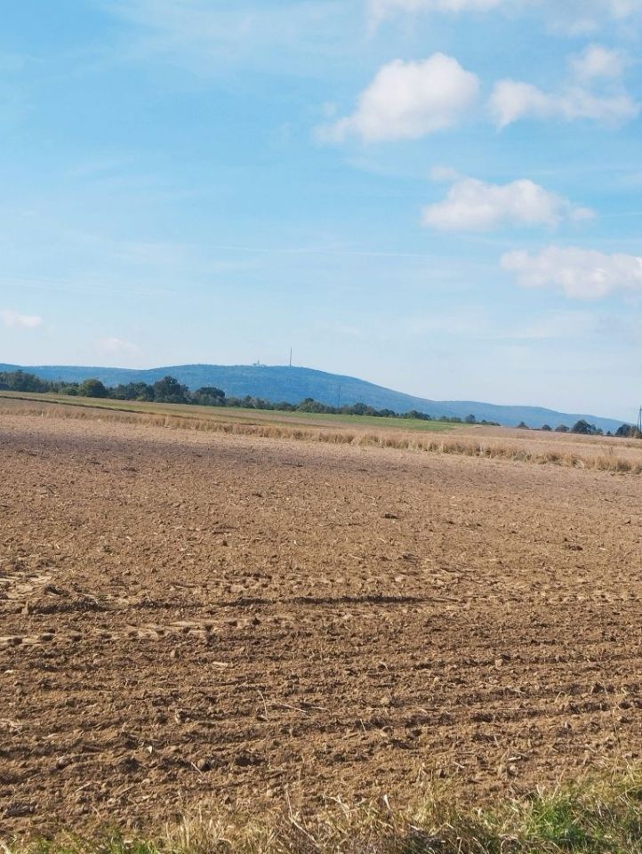 Działka rolna Grzegorzowice. Zdjęcie 1