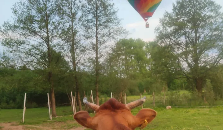 siedlisko, 3 pokoje Milęcice