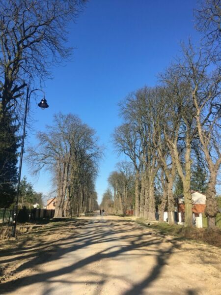 Działka budowlana Sucha, ul. Kasztanowa. Zdjęcie 4