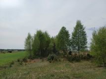 Działka budowlana Brzozowe Błota. Zdjęcie 1