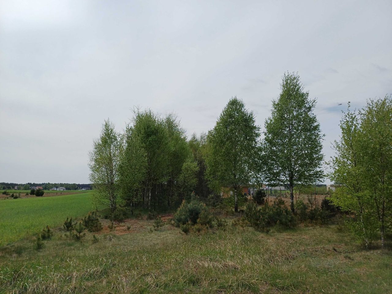 Działka budowlana Brzozowe Błota. Zdjęcie 2