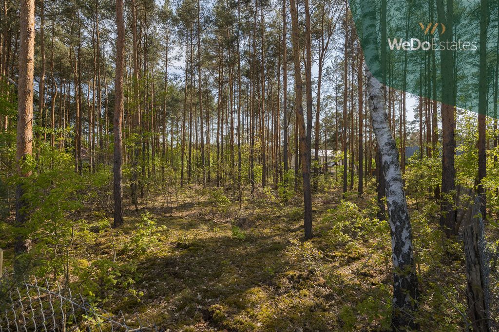 Działka budowlana Warszawa Wawer, ul. Dzięgielowa. Zdjęcie 7