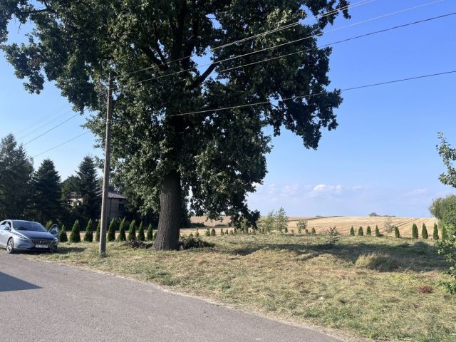 Działka budowlana Wąworków. Zdjęcie 1