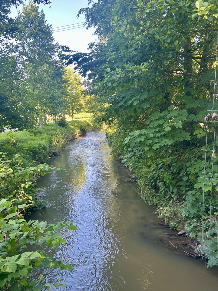 Działka rolna Giebułtów Podwikle, ul. Olszynowa. Zdjęcie 8