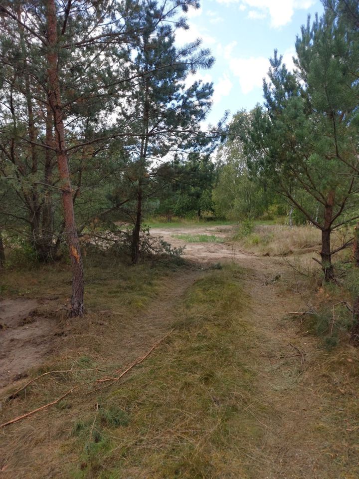 Działka rolna Biały Zdrój. Zdjęcie 3