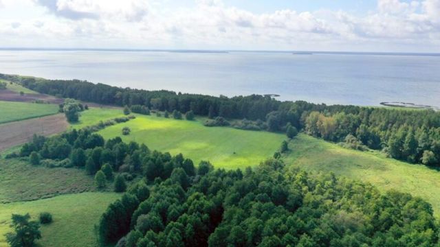 Działka rolna Dziubiele. Zdjęcie 8