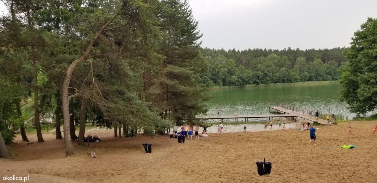 Działka rolno-budowlana Skarszewy, ul. Nad Stawem. Zdjęcie 4