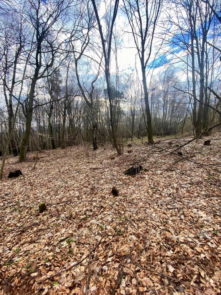 Działka rolna Pstrągówka. Zdjęcie 4