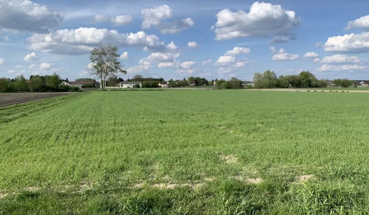 Działka rolno-budowlana Grądy