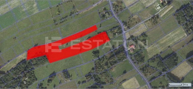 Działka Lubenia. Zdjęcie 5