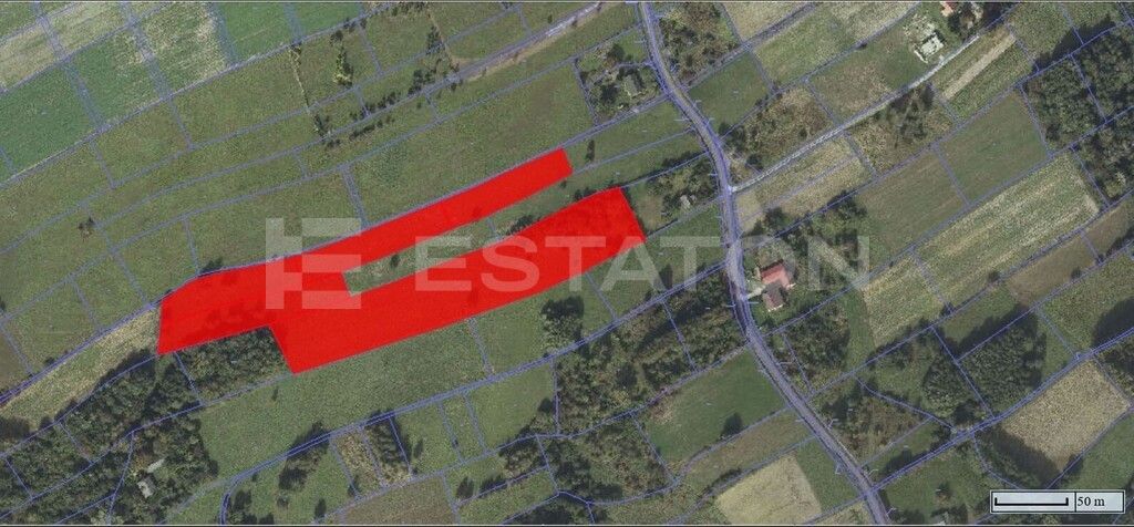 Działka Lubenia. Zdjęcie 5