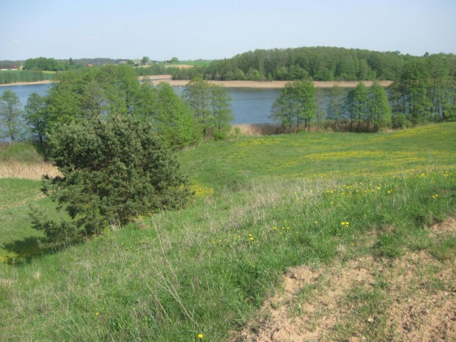 Działka rolna Poćkuny. Zdjęcie 1