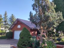 dom wolnostojący, 5 pokoi Radom, ul. Odrodzenia. Zdjęcie 4