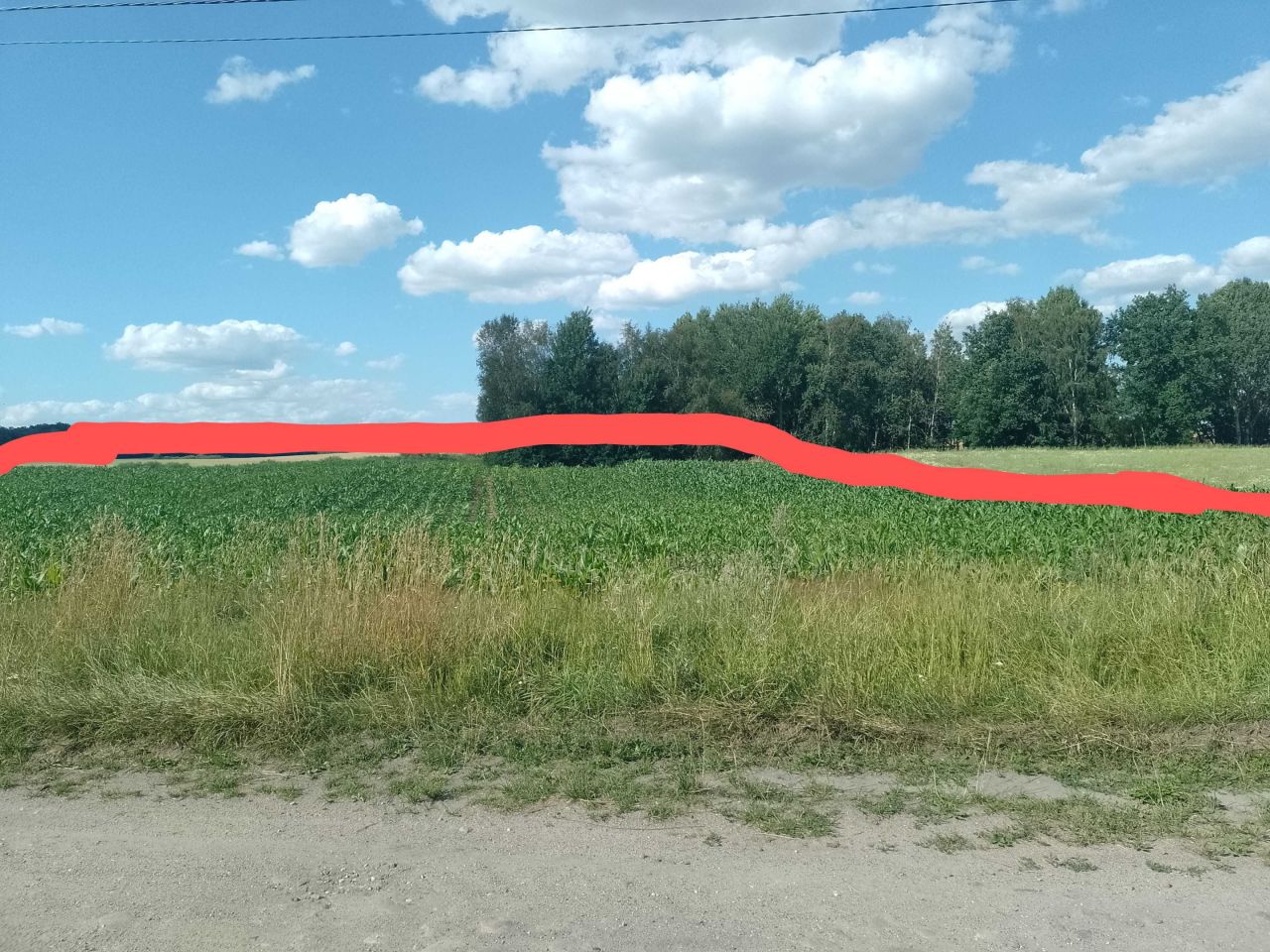 Działka budowlana Wilcze Błota. Zdjęcie 2