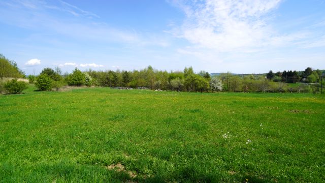 Działka budowlana Mszanka. Zdjęcie 1