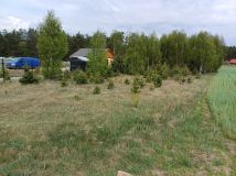 Działka budowlana Brzozowe Błota. Zdjęcie 3