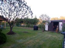 Działka leśna Niewodnica Kościelna. Zdjęcie 1