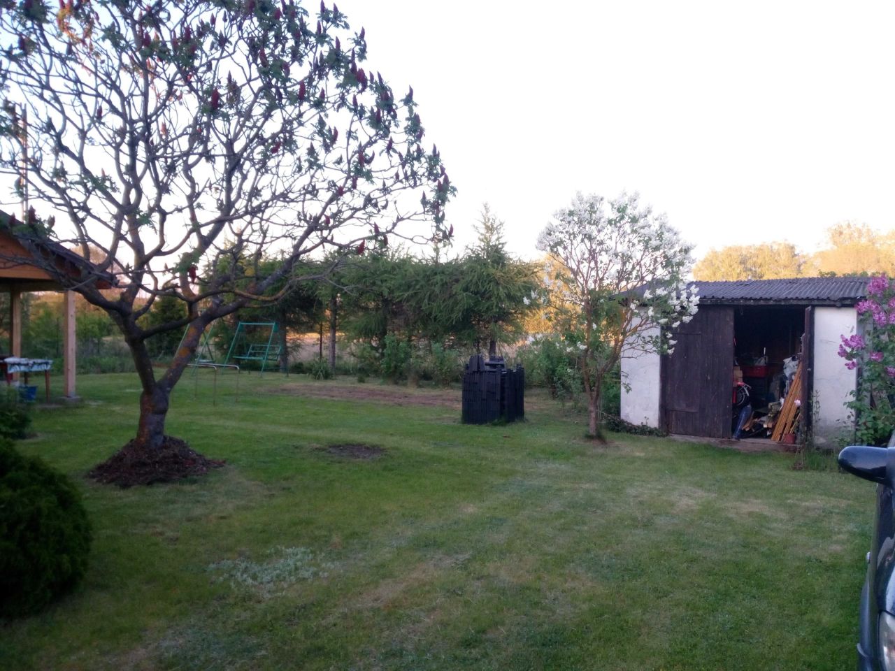 Działka leśna Niewodnica Kościelna. Zdjęcie 2