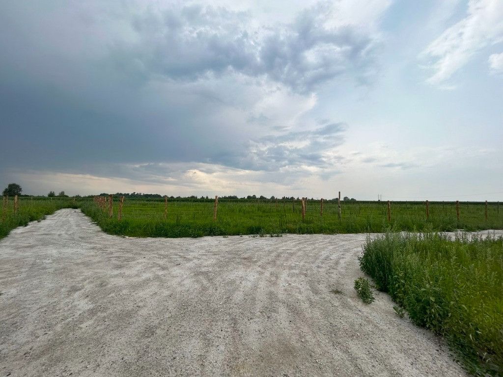 dzia-ka-wojnowice-bez-po-rednika-1000-m2-209-000-z