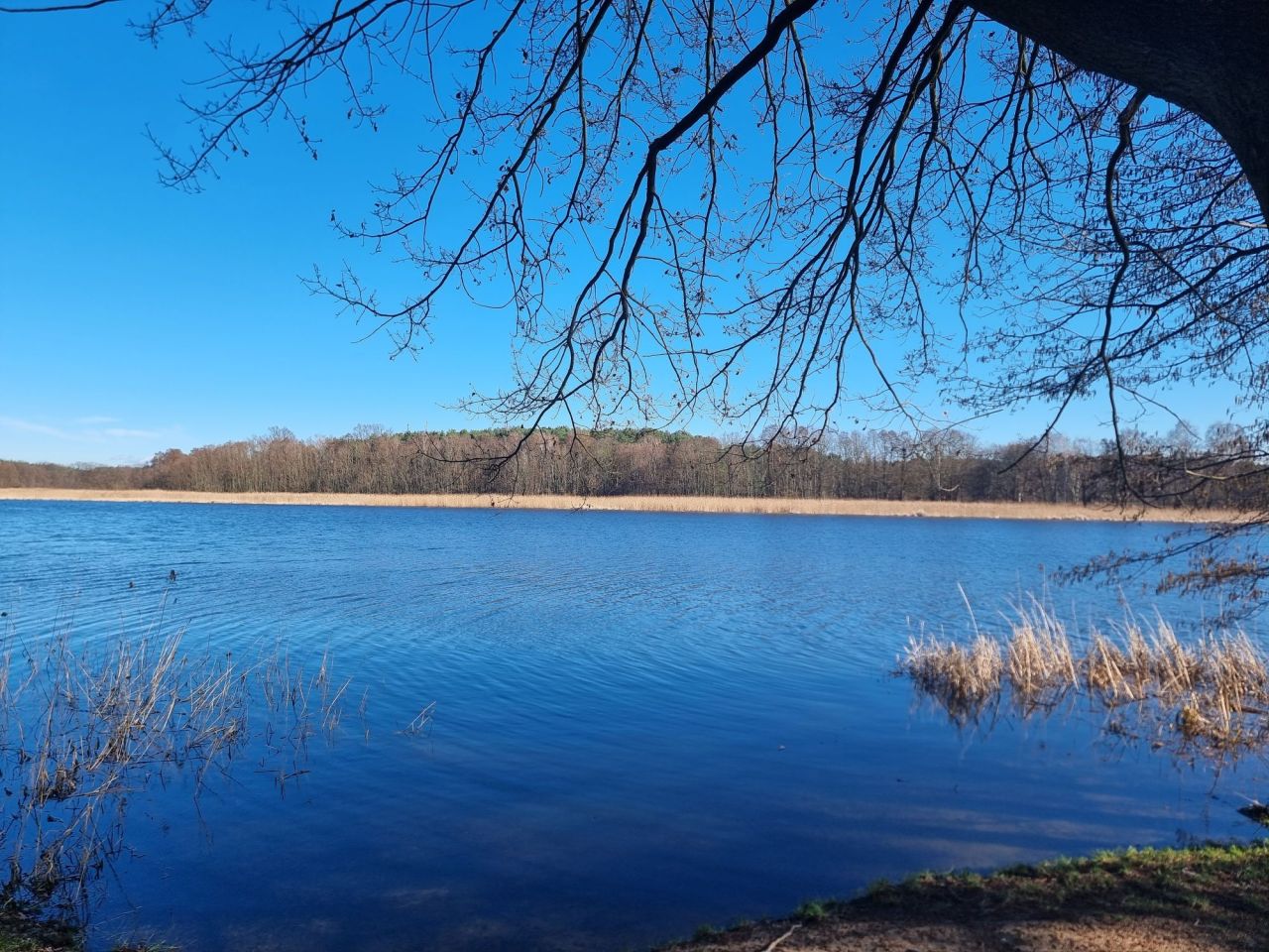 Działka rekreacyjna Stare Kramsko. Zdjęcie 2