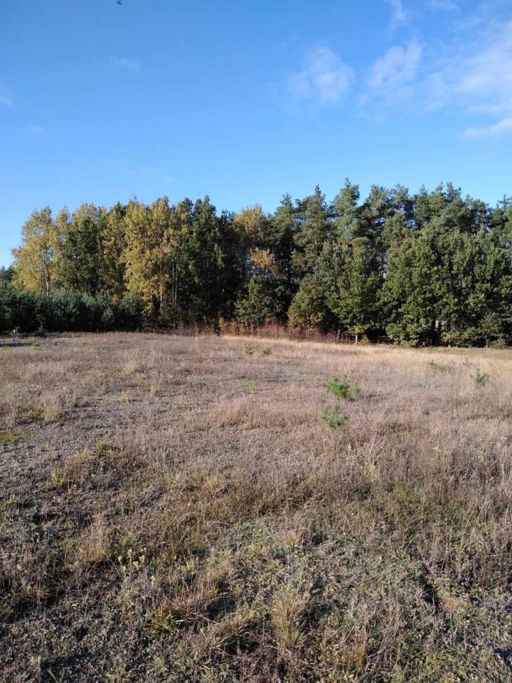 Działka budowlana Łebno. Zdjęcie 5