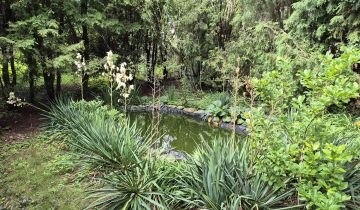 Działka siedliskowa Strzyżów, ul. Podgórna