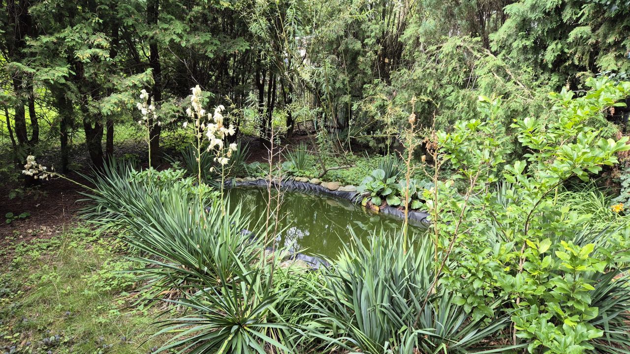Działka siedliskowa Strzyżów, ul. Podgórna. Zdjęcie 2