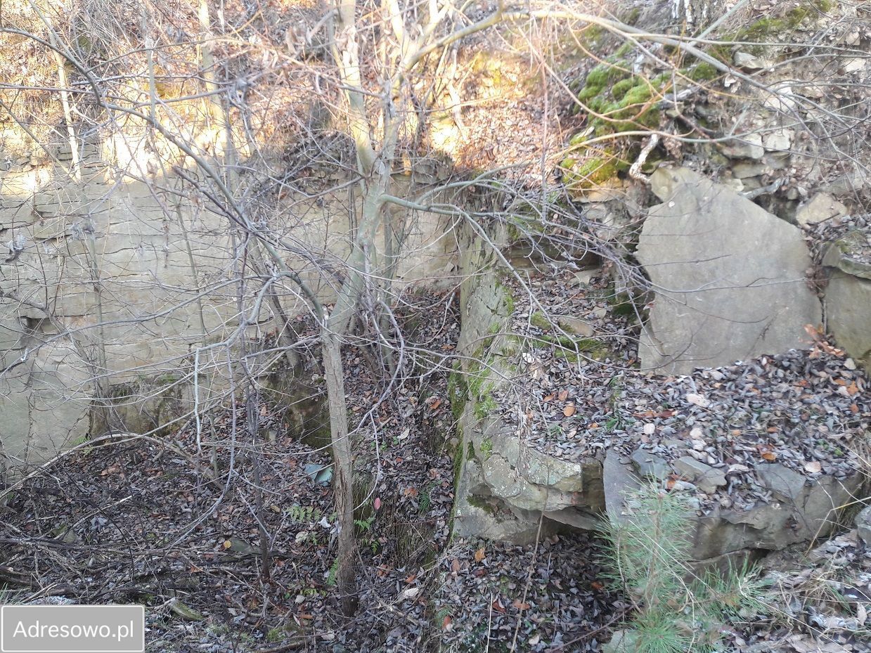 Działka inwestycyjna Szydłowiec, ul. Polna. Zdjęcie 3