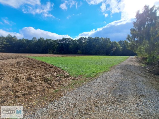 Działka siedliskowa Łagów. Zdjęcie 6