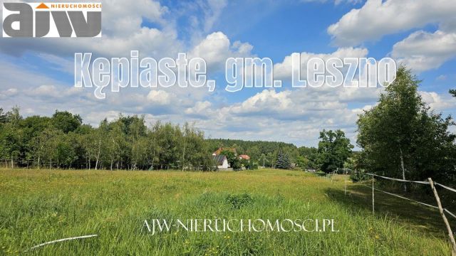 Działka budowlana Kępiaste. Zdjęcie 2
