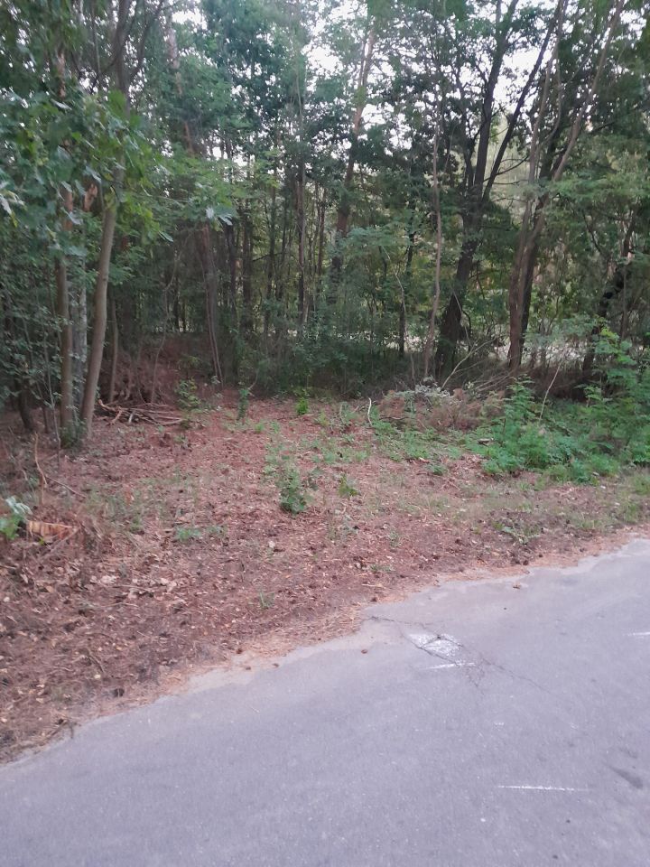 Działka rolna Nowa Wieś-Śladów. Zdjęcie 7