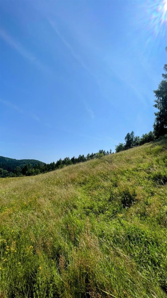 dom wolnostojący Krynica-Zdrój Słotwiny. Zdjęcie 12